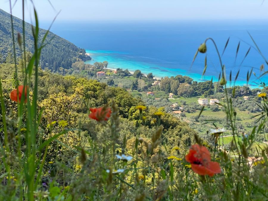 The rich flora of Lefkada