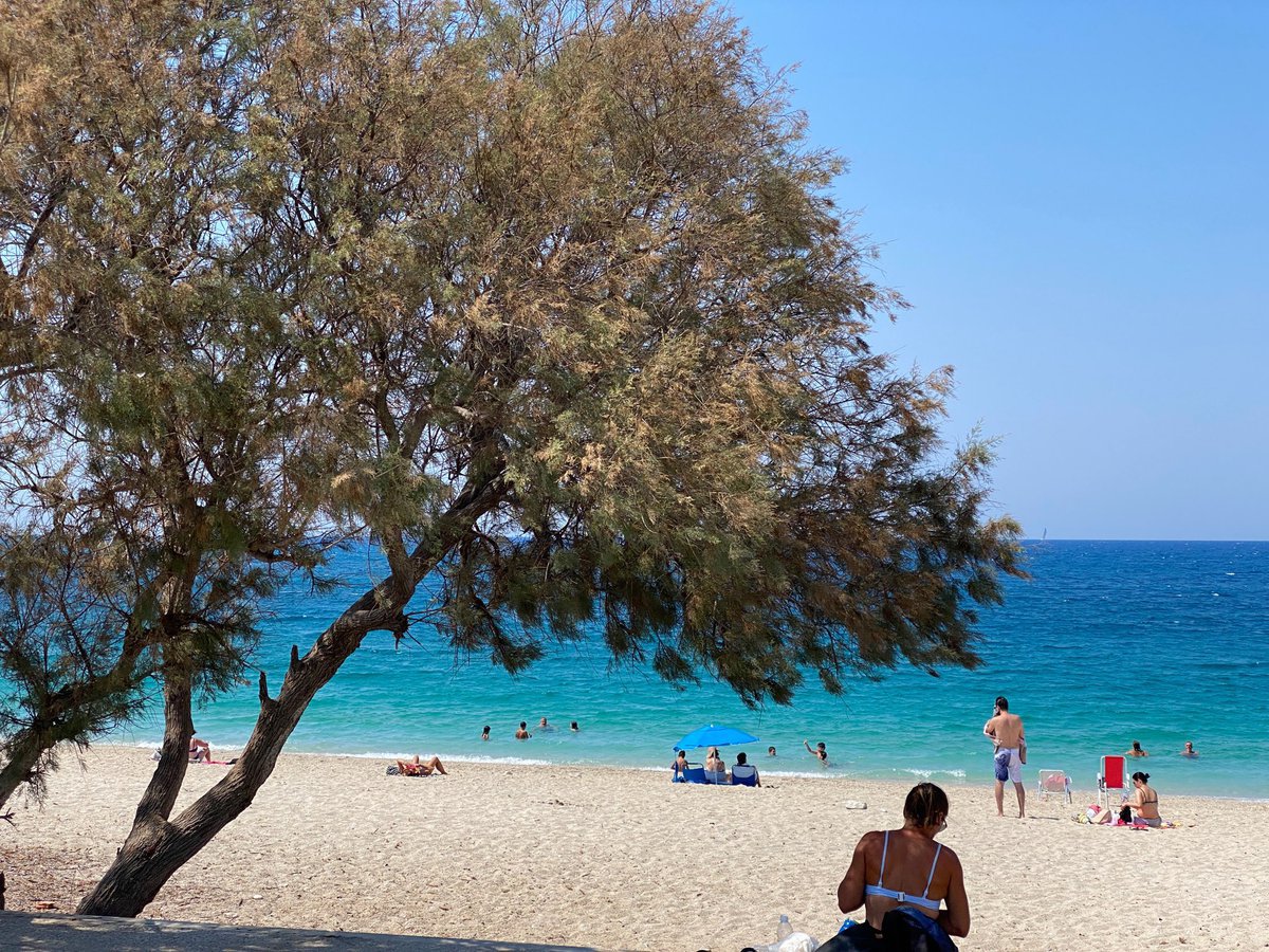 Kastro beach © Andreas Thermos