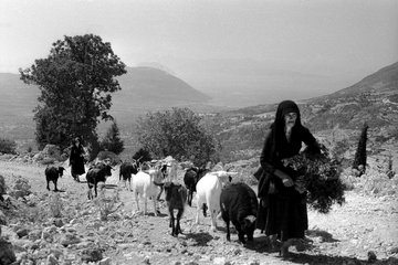 Τρεις νέες εκδόσεις από τo fagotto books με επίκεντρο τη Λευκάδα