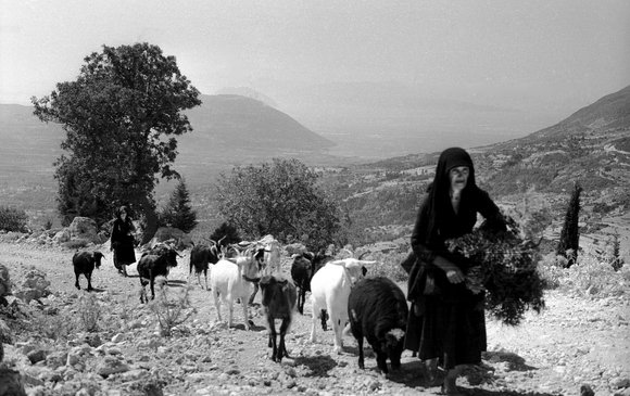 Τρεις νέες εκδόσεις από τις εκδόσεις fagotto books με επίκεντρο τη Λευκάδα