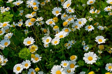 Λευκάδα την Άνοιξη: Η πιο αυθεντική εκδοχή του νησιού πριν το καλοκαίρι