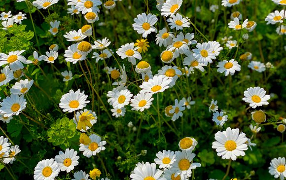 Λευκάδα την Άνοιξη: Η πιο αυθεντική εκδοχή του νησιού πριν το καλοκαίρι