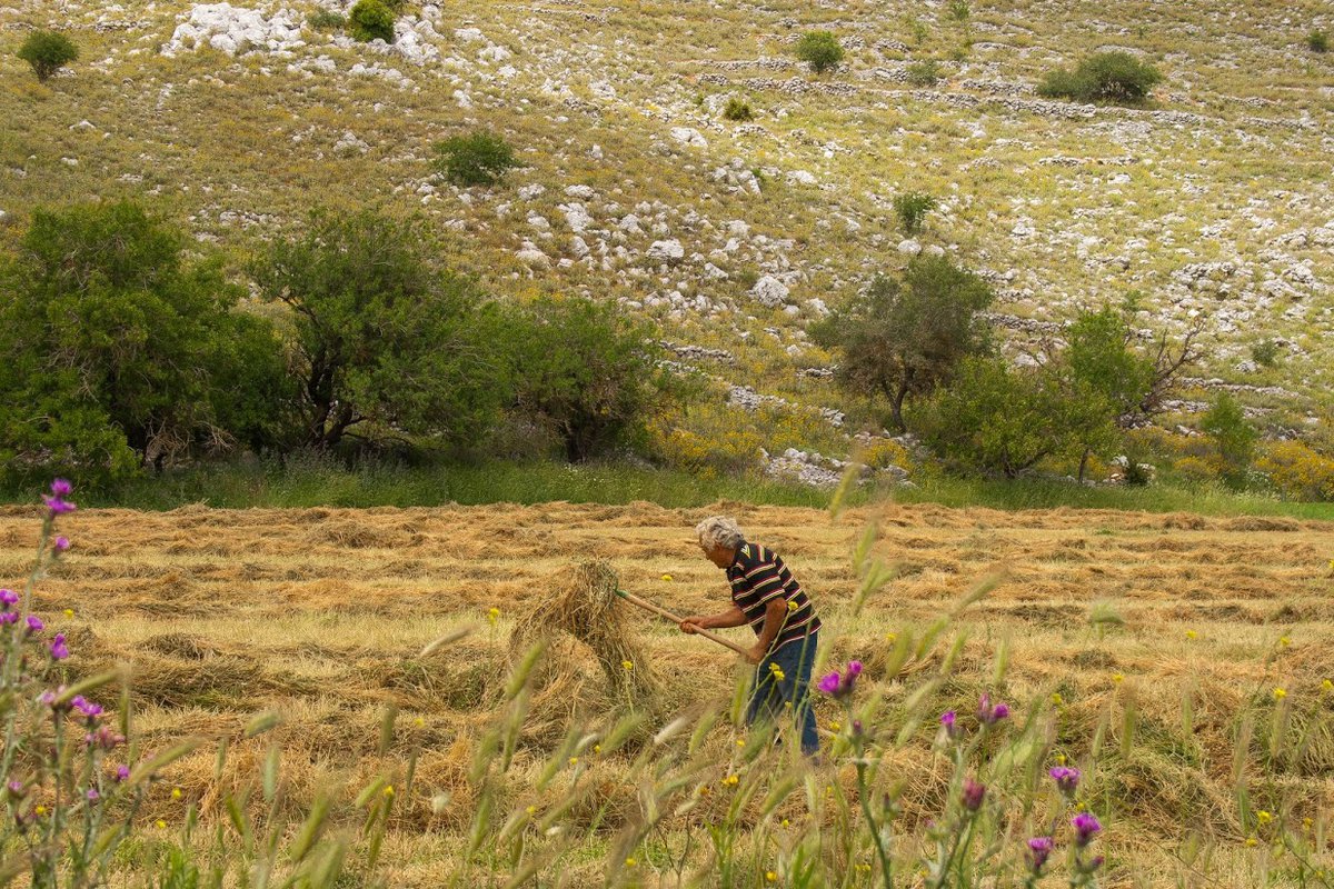 Fields of Eglouvi