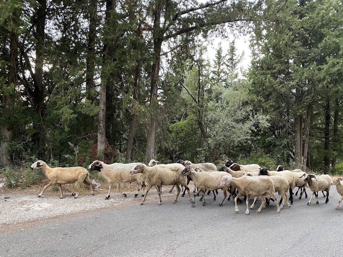 Lefkada| Villages full of surprises © Andreas Thermos