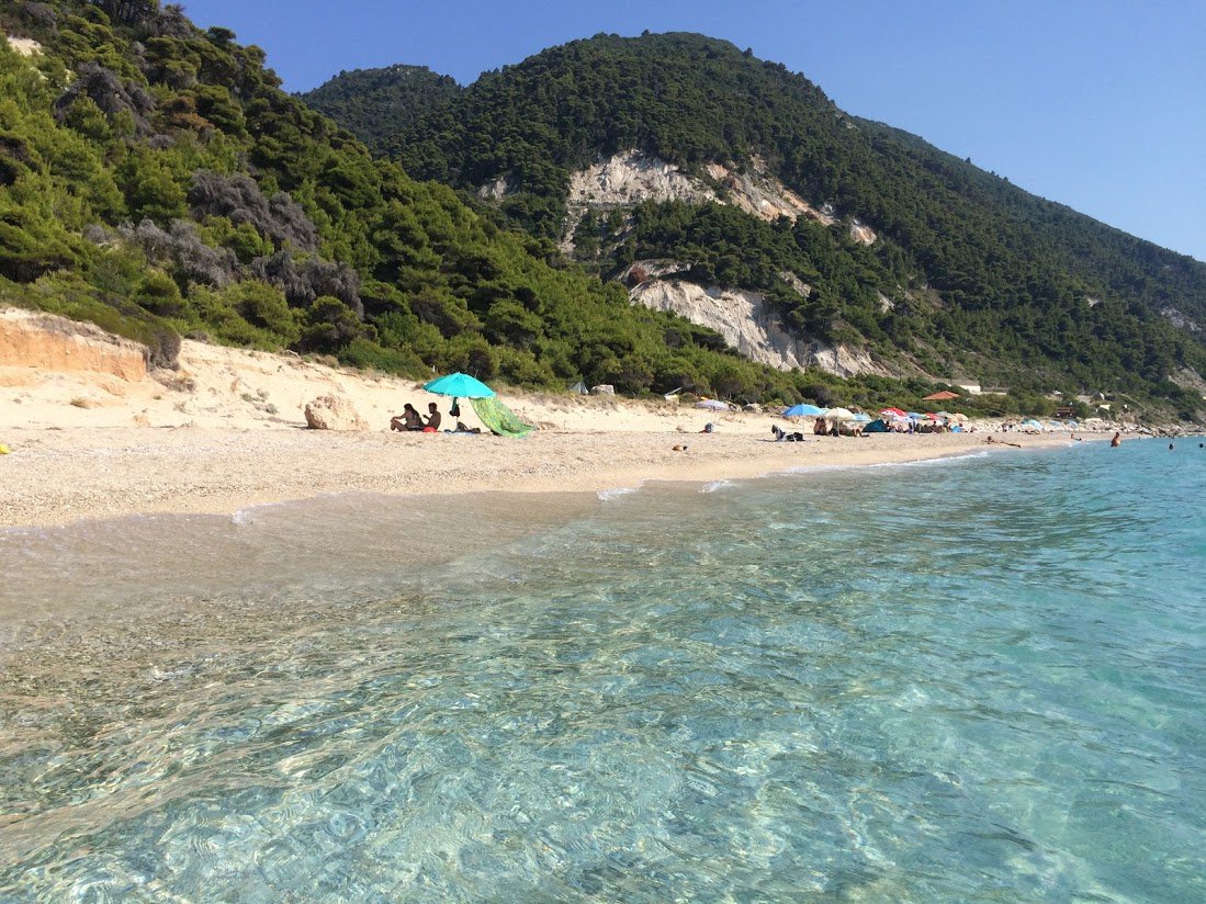 The pines stretch all the way to shore at Pefkoulia