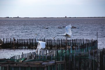 Χειμώνας στη Λευκάδα: η απόλυτη μαγεία