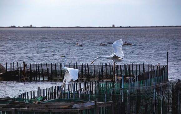 Χειμώνας στη Λευκάδα: η απόλυτη μαγεία