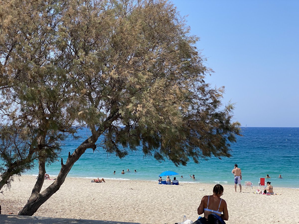 Kastro Beach, Lefkada – crystal-clear waters and fine sand just steps from the town