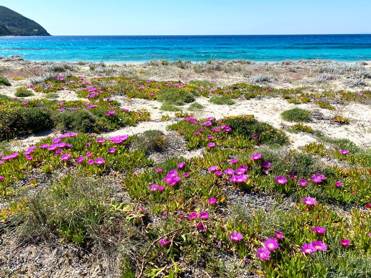 Ai Giannis beach