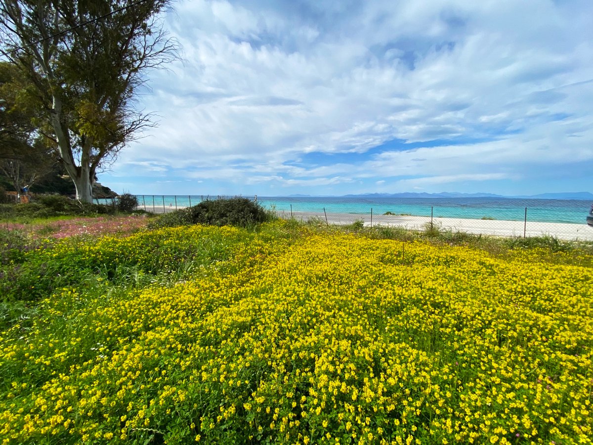 Ai Giannis beach