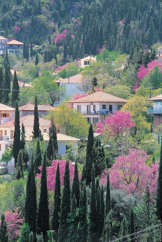 Καρυά. Φωτογραφία Θάνος Παπαδόπουλος