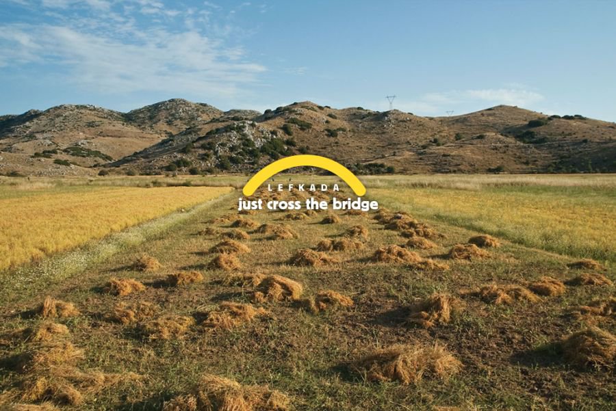 Lentil fields| Just cross the bridge