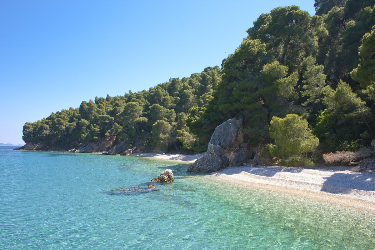 Κάλαμος. Φωτογραφία: Ανδρέας Θερμός