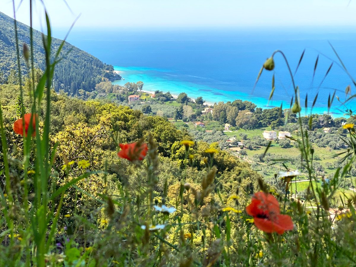 Ai Giannis beach from above @Andreas Thermos