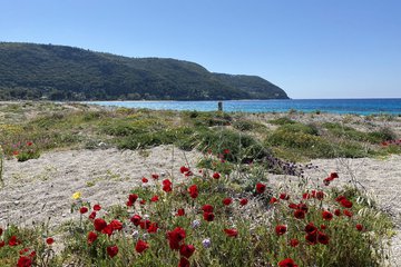 Visiting Lefkada in spring: all you need to know