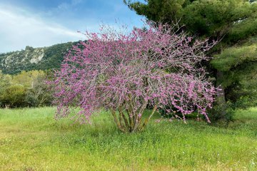 Lefkada in Spring: The Island’s Most Authentic Self Before Summer
