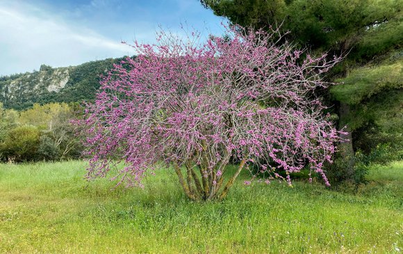 Lefkada in Spring: The Island’s Most Authentic Self Before Summer