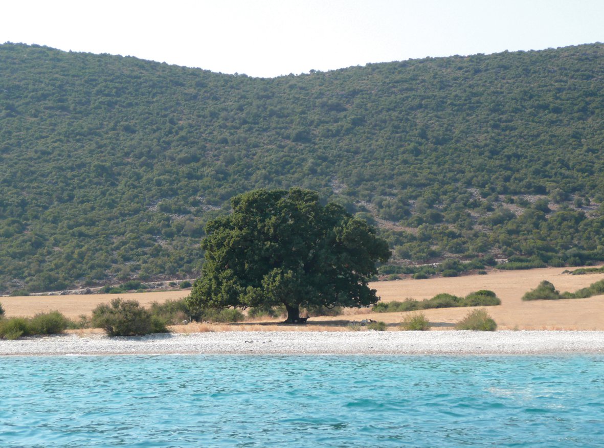 Μαραθιάς (one tree bay)