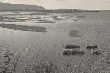 Δουλειές του ποδαριού και υπαίθριοι καταστηματάρχες*