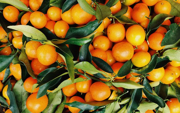 Φώτα: Το ιδιαίτερο έθιμο των πορτοκαλιών στη Λευκάδα