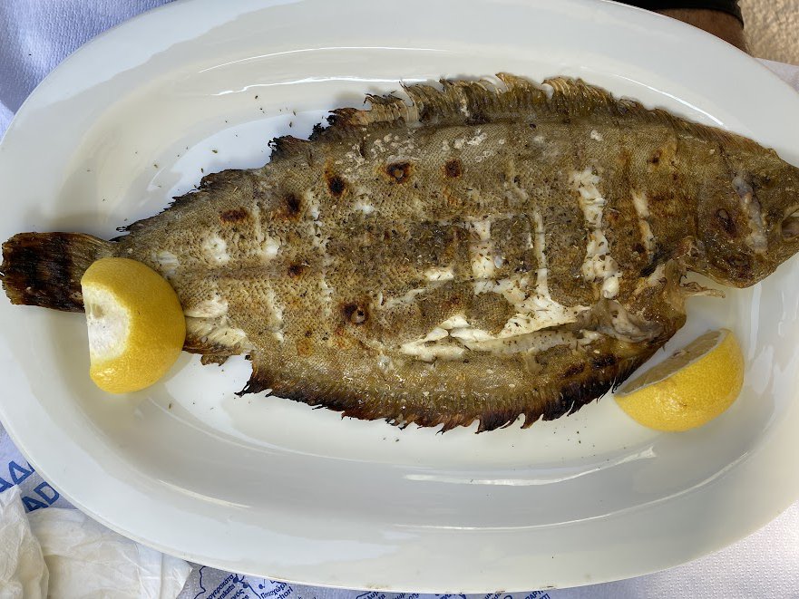 Fish in the heart of Lefkada's city centre © Andreas Thermos