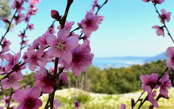 Spring in Lefkada