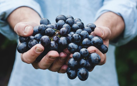 Apolpaina Harvest and Wine Festival